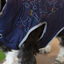 Outech Casaco Azul com Estampagem de Ossos para cães, , large Indicador imagem número 4